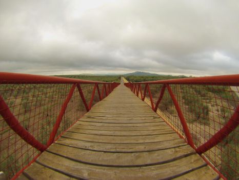 Imagen subjetiva de la pasarela peatonal sobre la carretera A-318