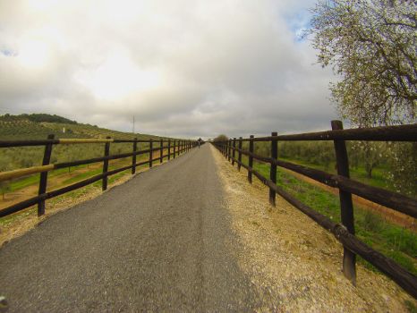 Cicloturista en la etapa 9 del Camino Natural Vía Verde del Aceite