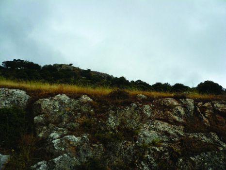 Detalle del paisaje antes de llegar a Zuheros