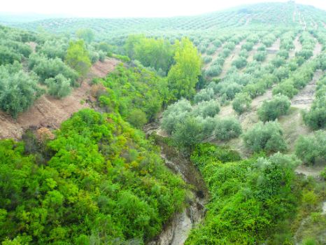 Panorámica desde uno de los viaductos