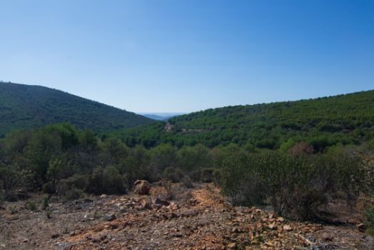 Panorámica desde el Camino Natural