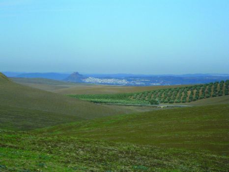 Almodóvar del Río y castillo al fondo