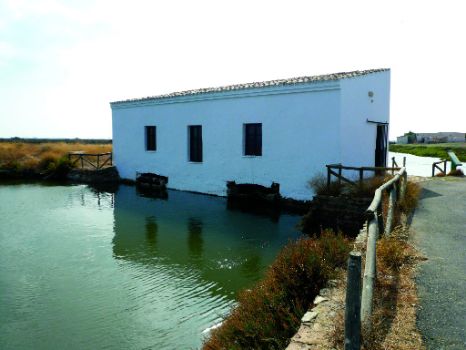 Centro de Interpretación "El hombre y la Marisma"