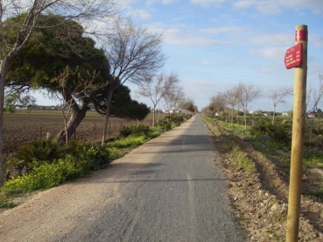 Aspecto del camino en el cruce con el camino Hijuela de María