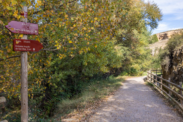 Camino Natural del Guadalaviar