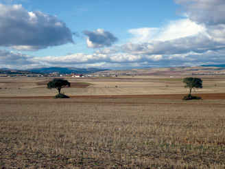 Panorámica desde la Sierra del Madero