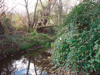 Parque de Los Lombacos. Puente sobre el río Queiles.