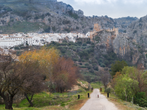 Camino Natural Vía Verde del Aceite