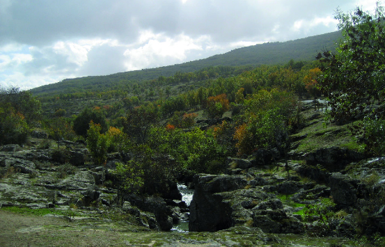 . El Camino Natural del Valle del Lozoya se convierte en un ejemplo de accesibilidad 