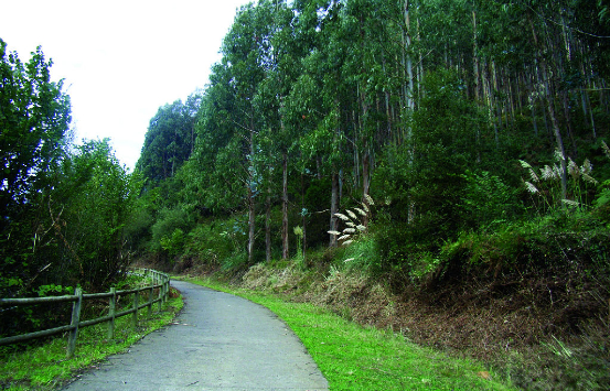 Camino Natural Vía Verde Montes de Hierro
