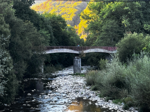 Río Iarraun en el Camino Natural Vía Verde del Plazaola