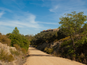 Camino del Renacimiento