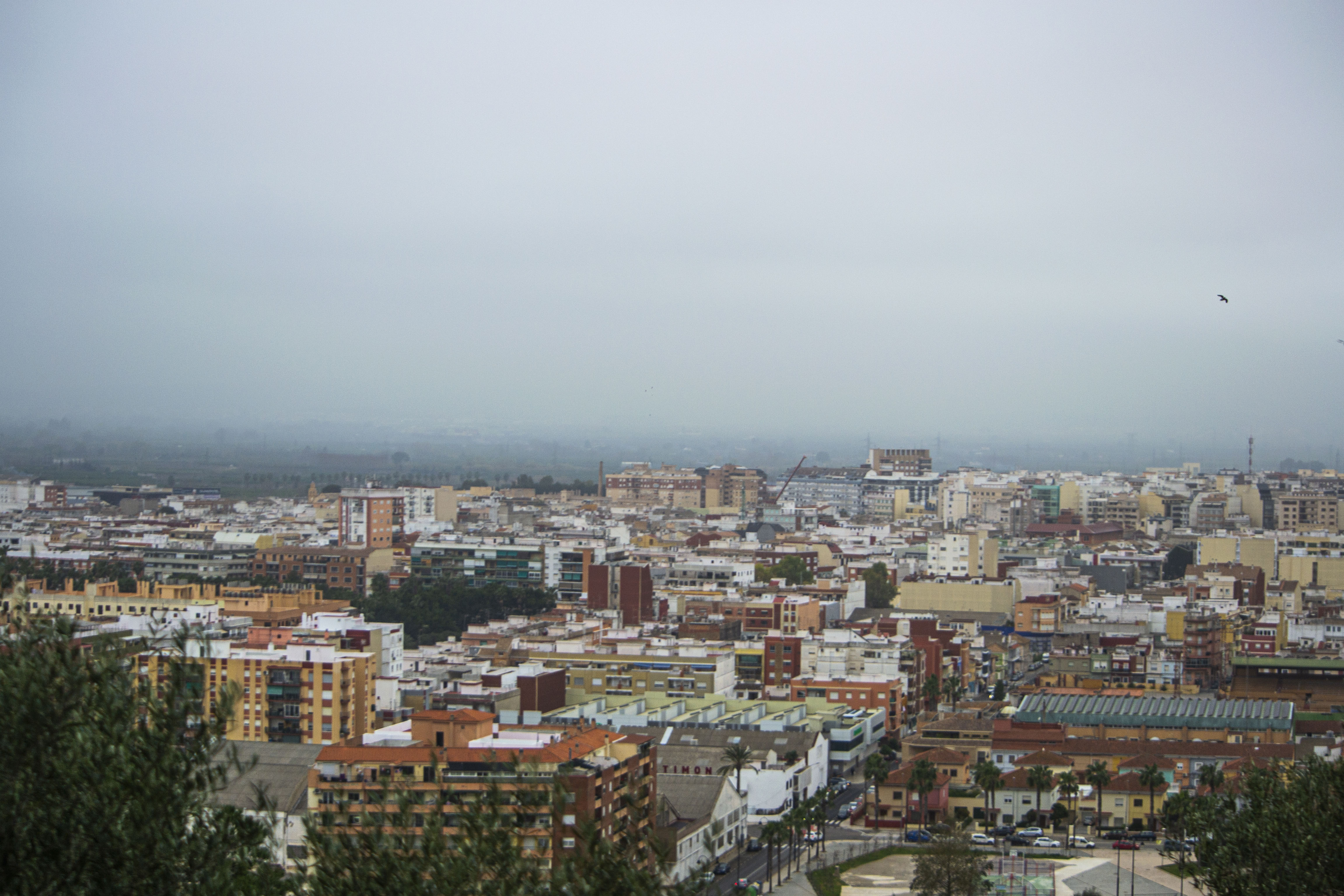 Alzira