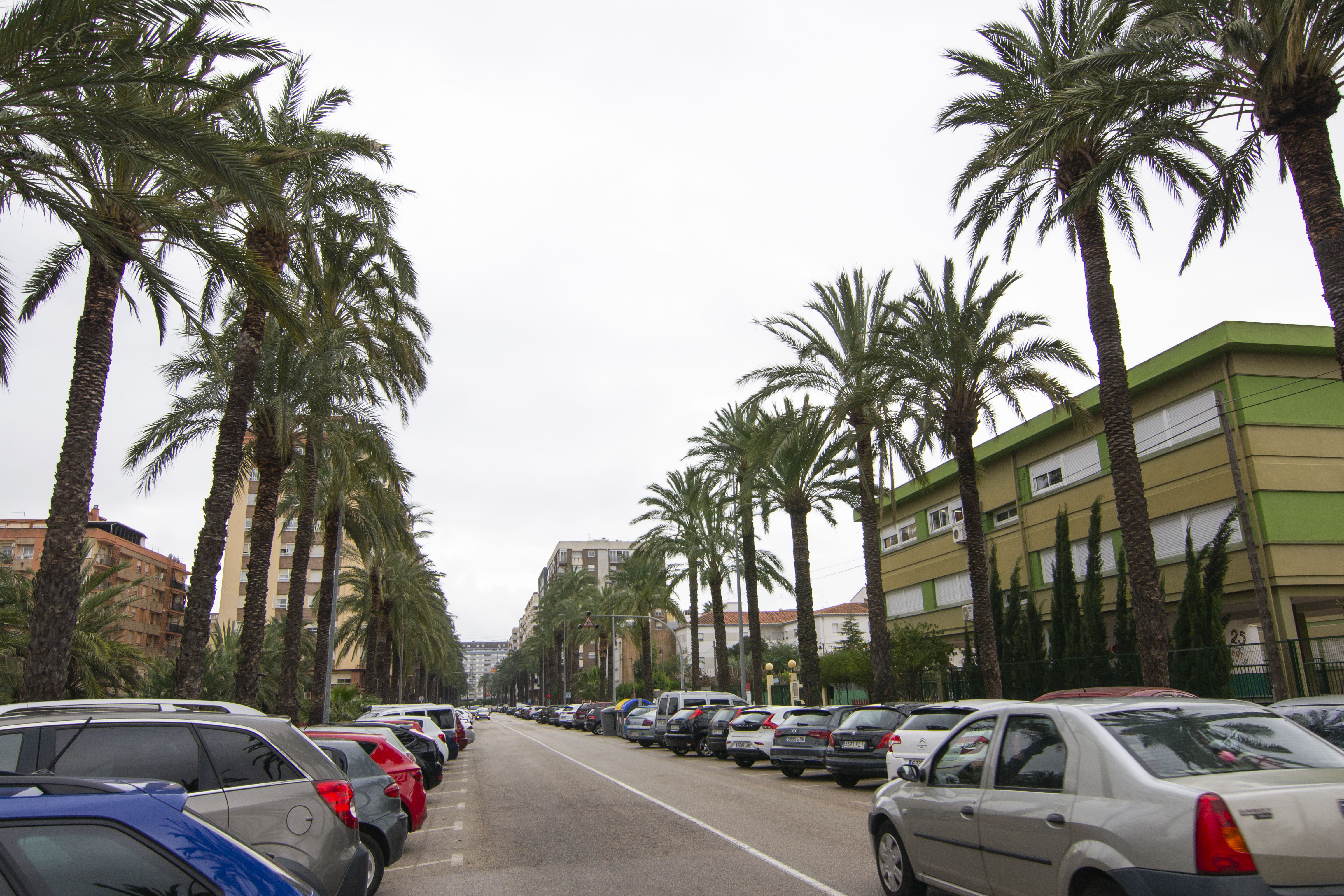 Alzira