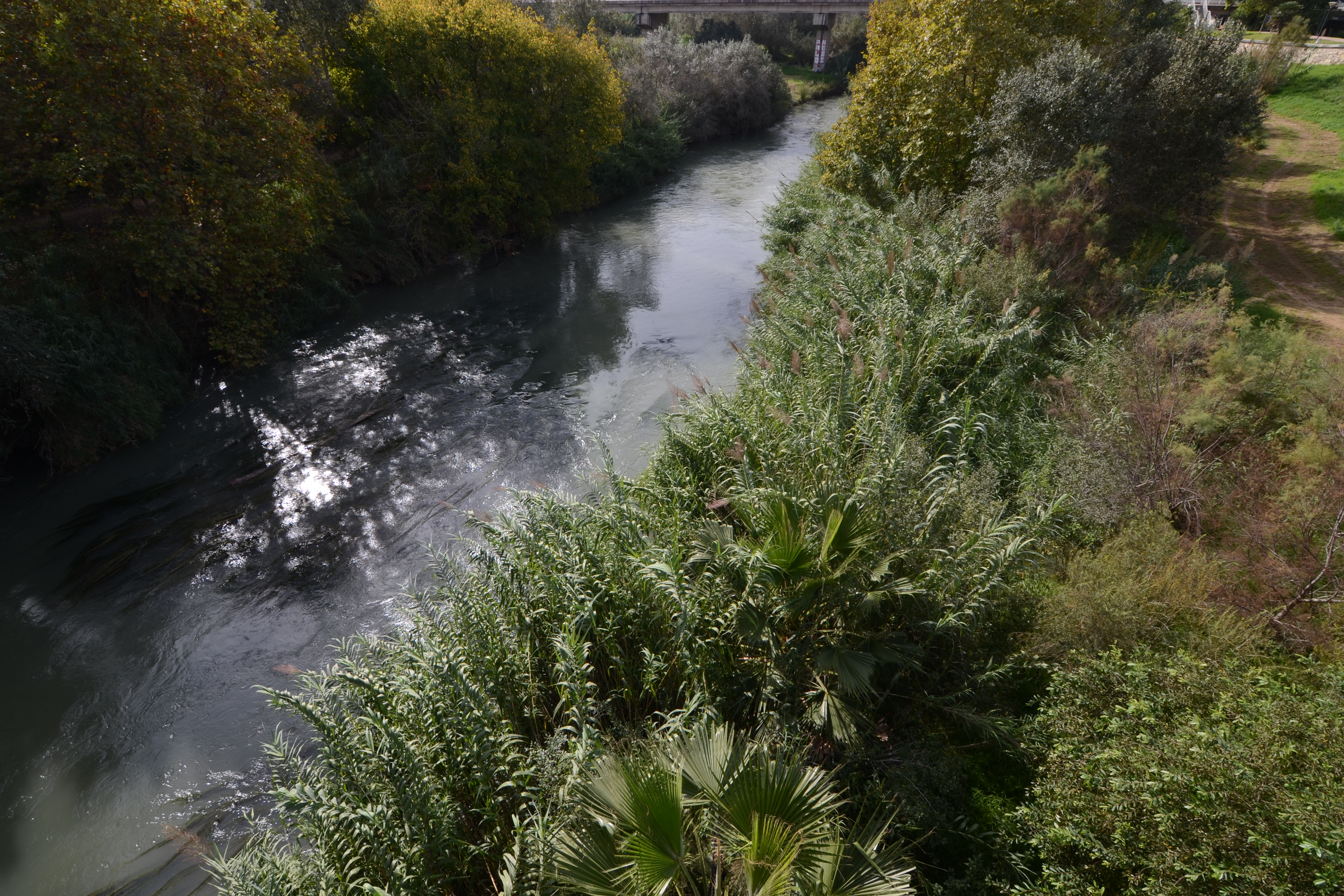 Río Júcar