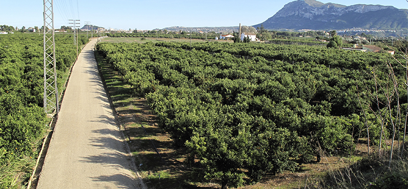 Camino Natural Vía Verde de Dénia