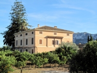 Cortijo típico con araucaria y palmeras
