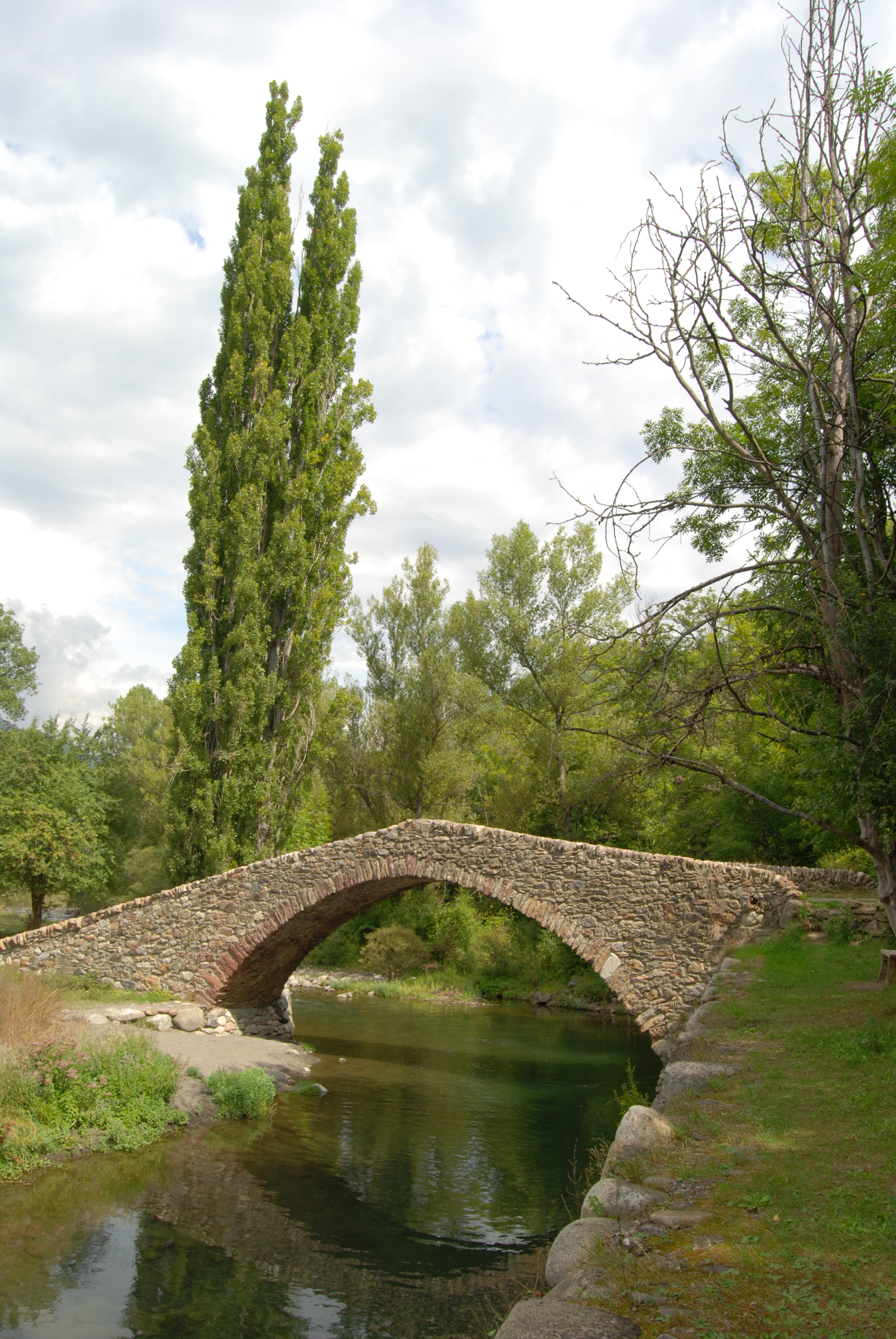 River Noguera de Tor	