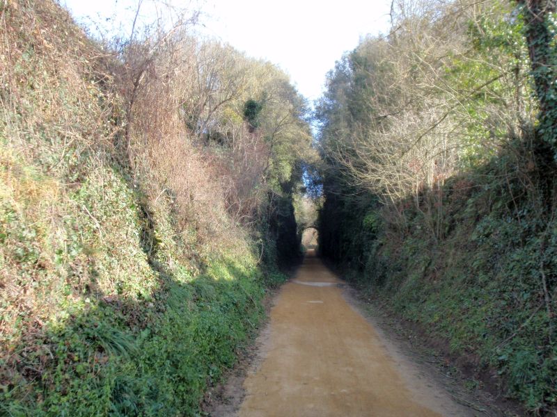 Trinchera del antiguo ferrocarril