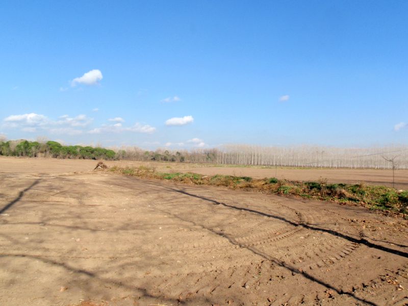 Parc de les Deveses de Salt