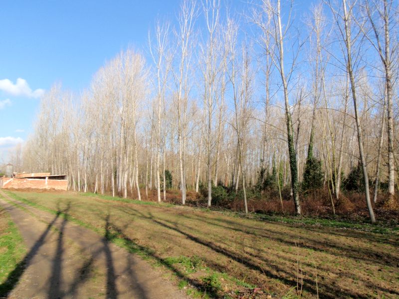 Parc de les Deveses de Salt