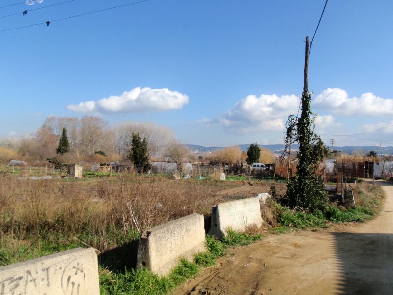 Hortes de Santa Eugènia