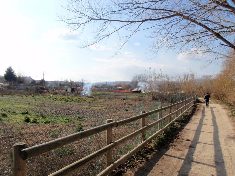 Hortes de Santa Eugènia