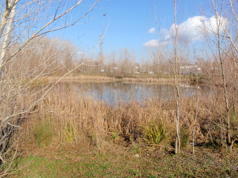 Aiguanolls de Santa Eugènia