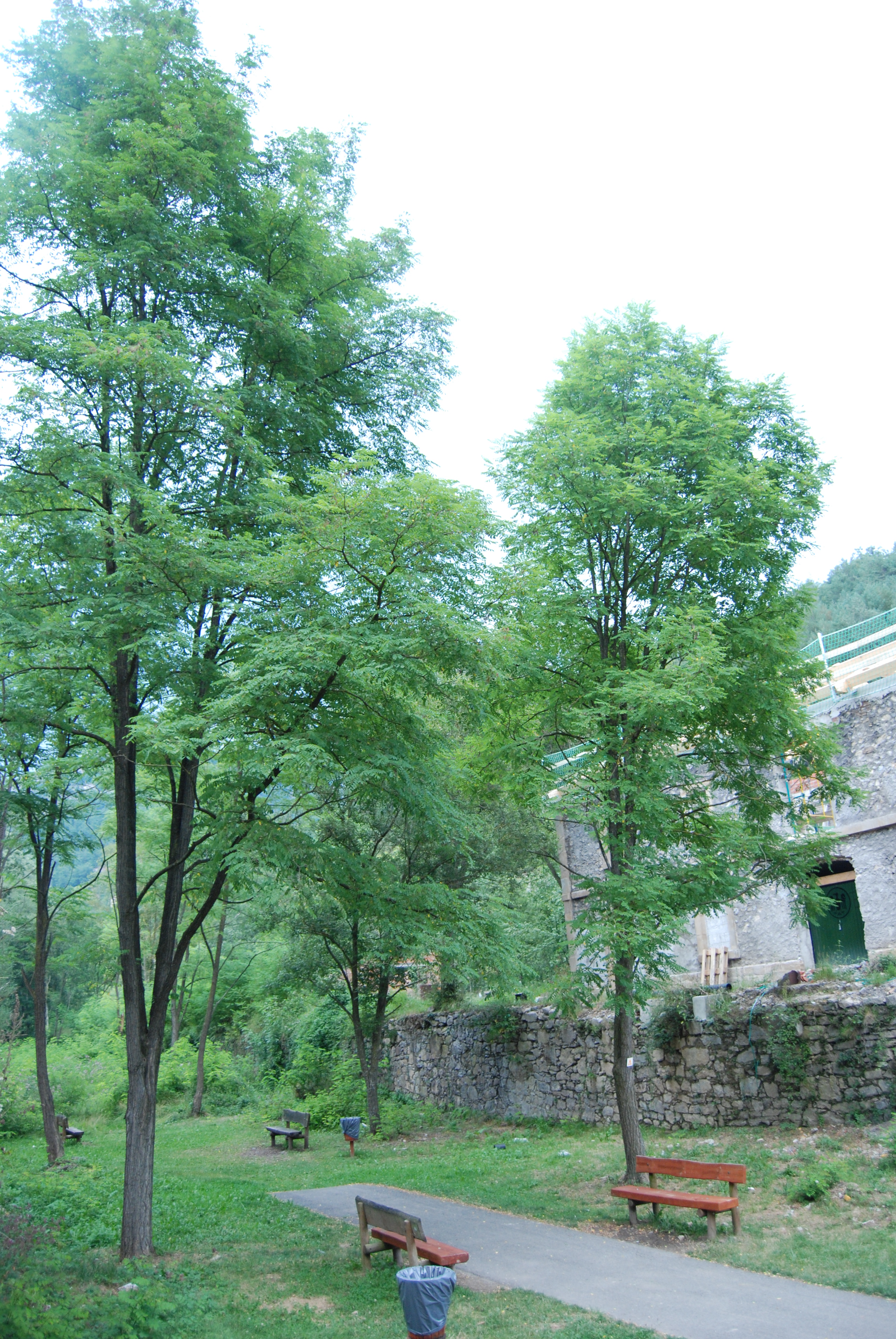 Antigua estación de Toralles