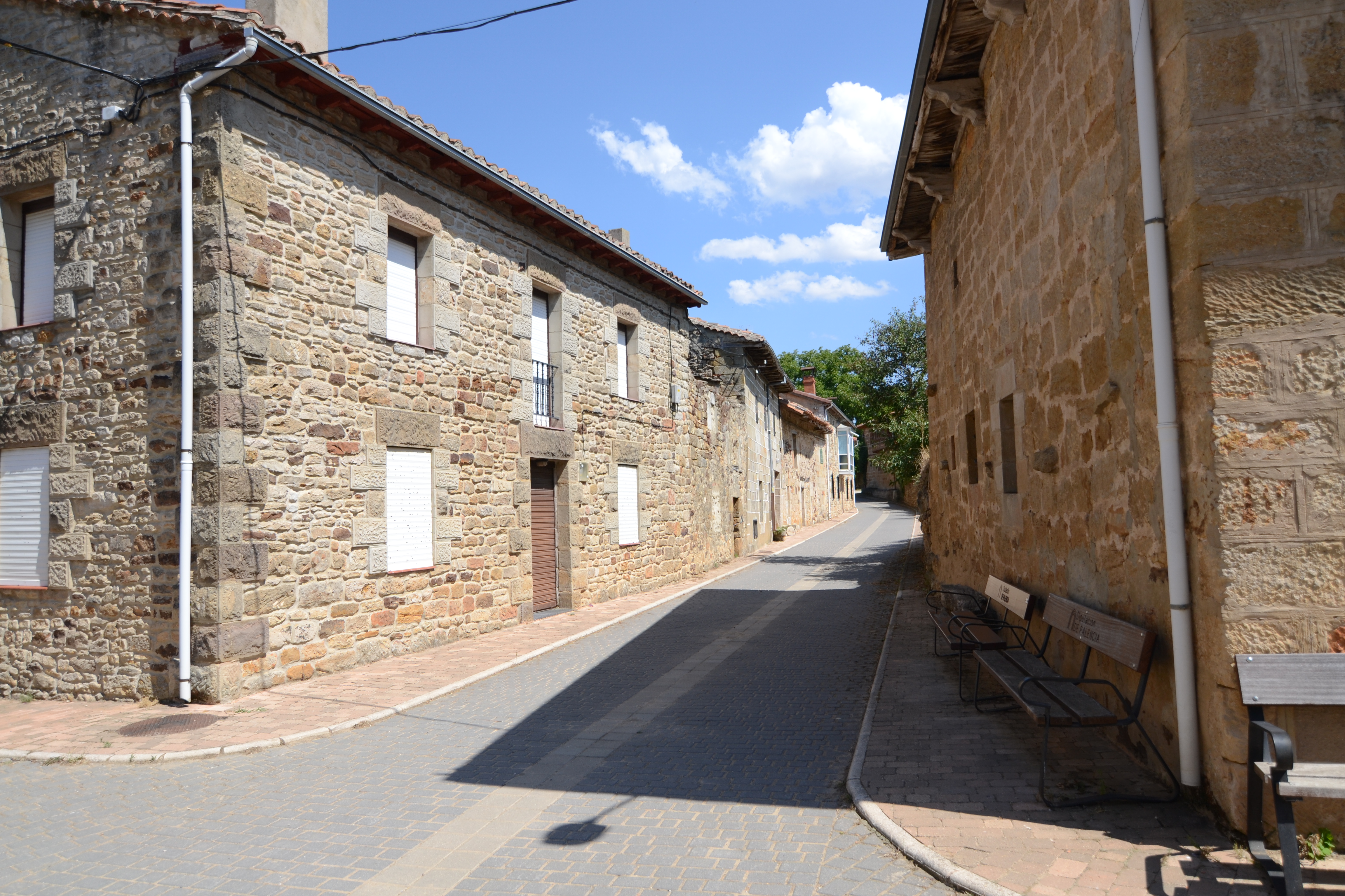 OLLEROS DE PAREDES RUBIAS