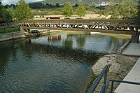 Zona de baño del Parque del Fresnedo