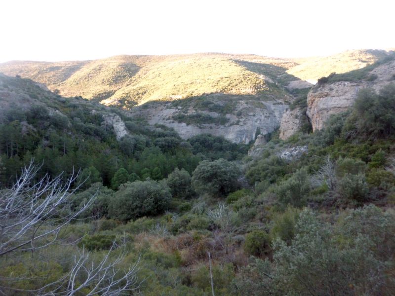 Barranco de los Clérigos de la Mota