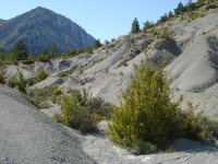 Regueros y cárcavas sobre las margas, cerca de Arguis