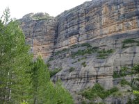 Paredón de conglomerados en la zona del Canal del Palomo