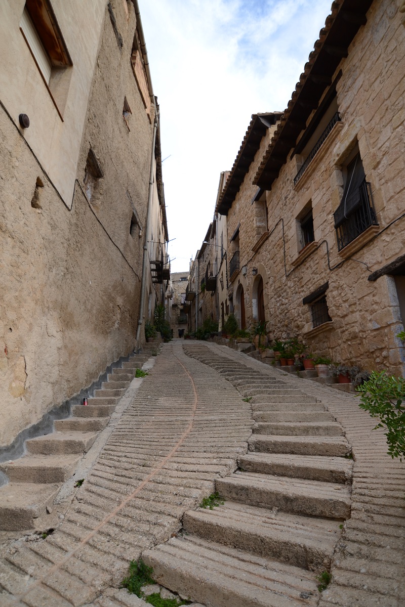Horta de Sant Joan