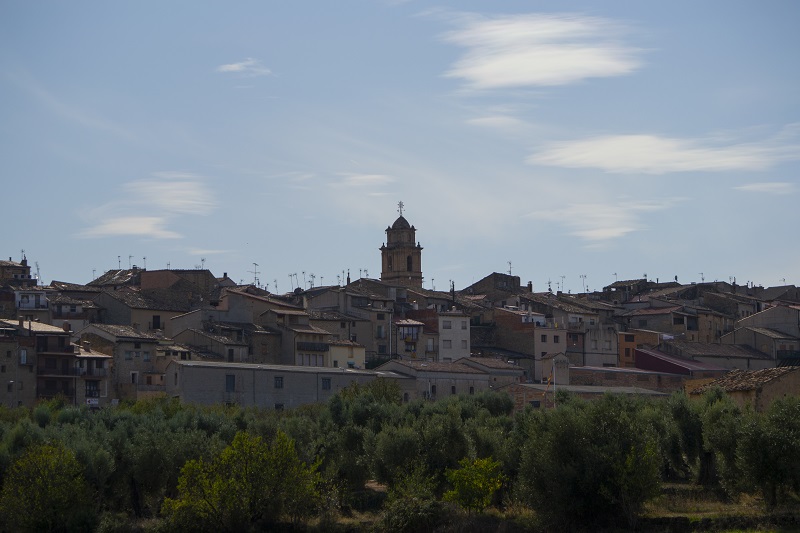 Arnés