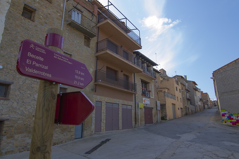 Arnés