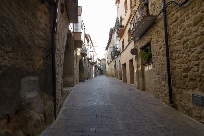 Arnés