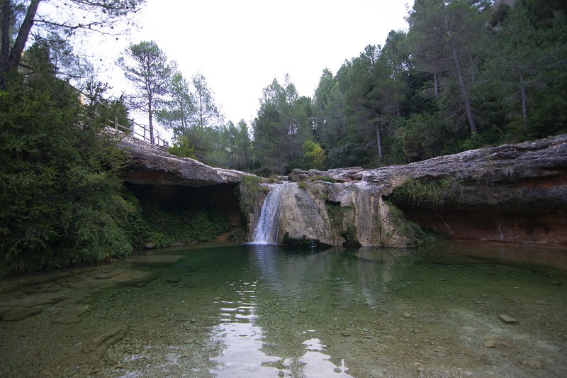 Toll del Vidre