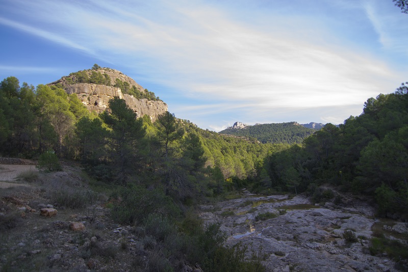 Toll del Vidre