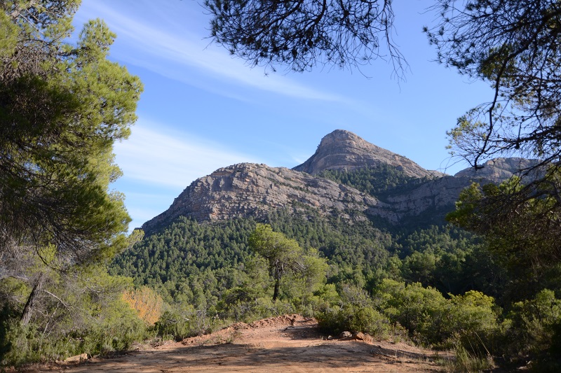 Peñagalera