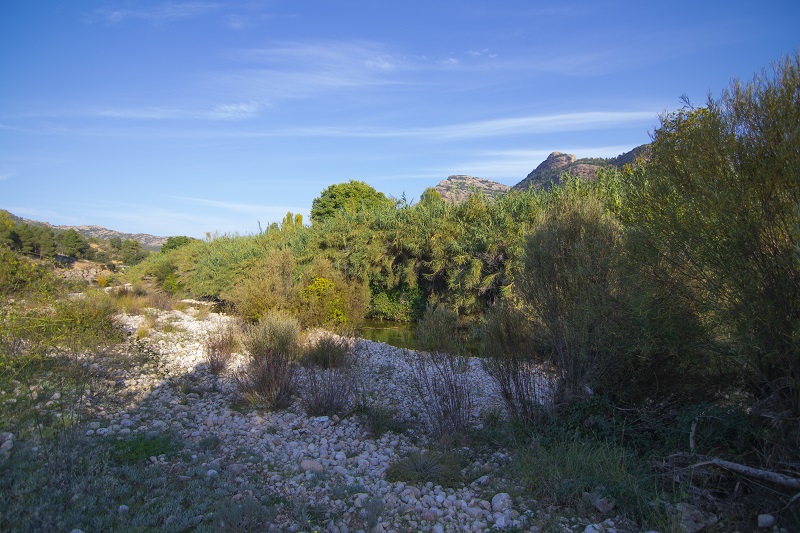 Riu d'Ulldemó