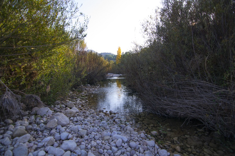 Riu d'Ulldemó