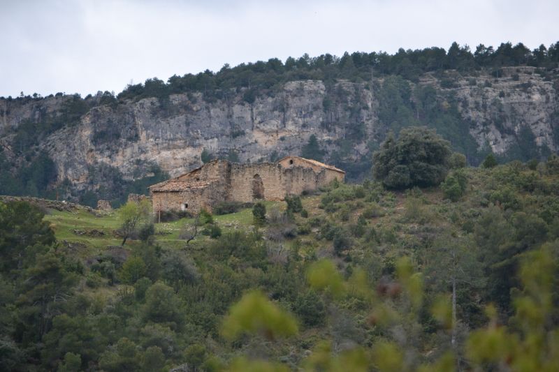 Mas de Sant Miquel