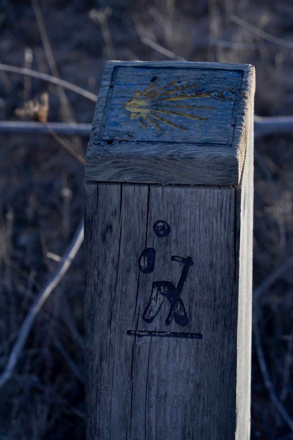 Camino Jacobeo del Ebro