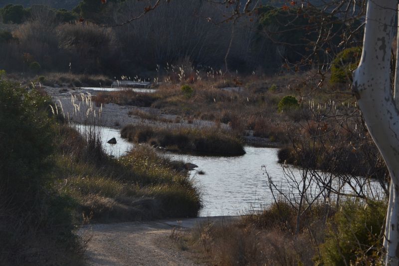 Río Algars