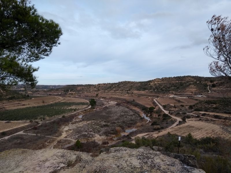 PEIN Ribera de Algars