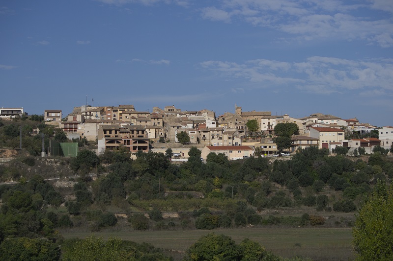 Lledó