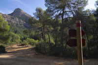 Peña Galera desde el Camino Natural