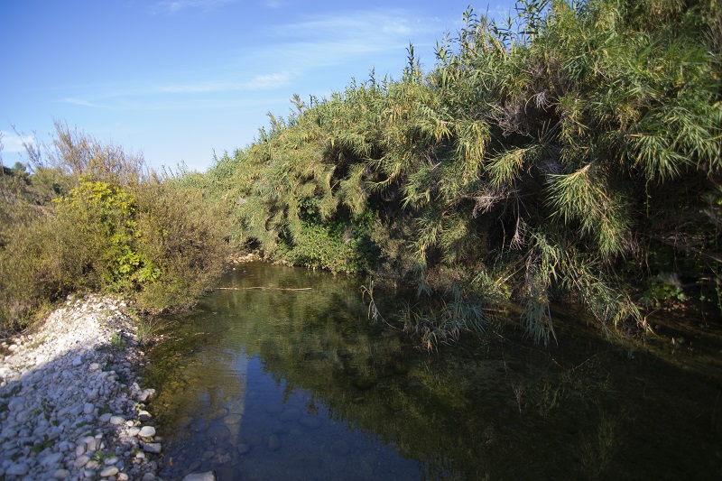 Riu d'Ulldemó